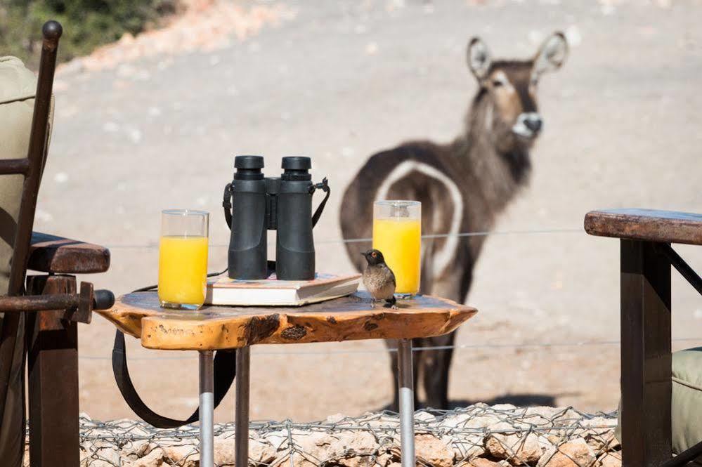 ホテル Anderssons Camp オカウクエジョ エクステリア 写真