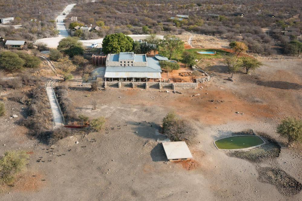 ホテル Anderssons Camp オカウクエジョ エクステリア 写真